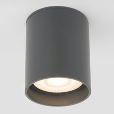 Светильник для уличного освещения с арматурой серого цвета, плафонами серого цвета Elektrostandard Light LED 2104 (35130/H) серый