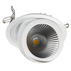 Точечный светильник с плафонами белого цвета BLS 45167
