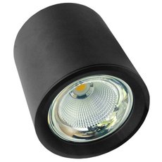 Точечный светильник с металлическими плафонами чёрного цвета BLS 45273