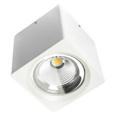 Точечный светильник с плафонами белого цвета BLS 45223