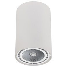 Точечный светильник с арматурой белого цвета, металлическими плафонами Nowodvorski 9481
