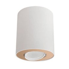 Точечный светильник с арматурой белого цвета, металлическими плафонами Nowodvorski 8896