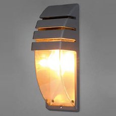 Светильник для уличного освещения с арматурой серого цвета, плафонами прозрачного цвета Nowodvorski 3393