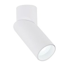 Точечный светильник с арматурой белого цвета Nowodvorski 7858