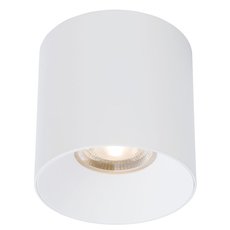 Точечный светильник с плафонами белого цвета Nowodvorski 8740