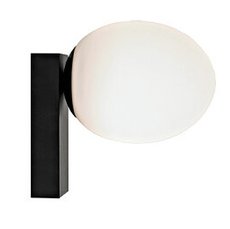 Светильник для ванной комнаты с арматурой чёрного цвета Nowodvorski 8132