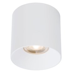 Точечный светильник с арматурой белого цвета, металлическими плафонами Nowodvorski 8734