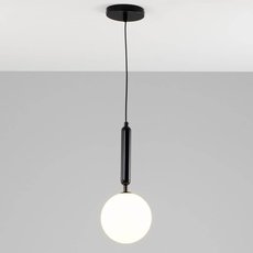 Светильник с арматурой чёрного цвета Moderli V2020-1P