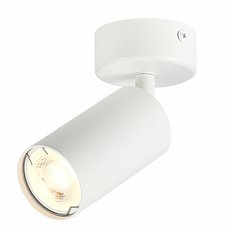 Точечный светильник с арматурой белого цвета, металлическими плафонами ST LUCE ST303.502.01