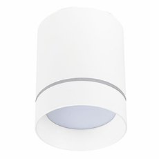 Точечный светильник с арматурой белого цвета ST LUCE ST115.542.12