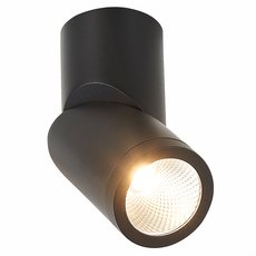Точечный светильник с арматурой чёрного цвета ST LUCE ST650.432.10