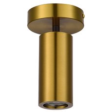 Точечный светильник с арматурой латуни цвета ST LUCE SL1215.402.01