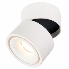 Точечный светильник с плафонами белого цвета ST LUCE ST652.542.12