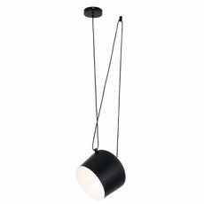 Светильник с металлическими плафонами чёрного цвета EVOLUCE SLE120643-01