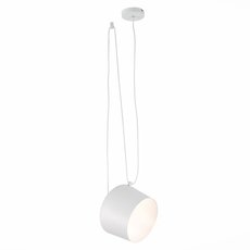 Светильник с металлическими плафонами белого цвета EVOLUCE SLE120653-01