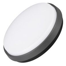 Светильник для уличного освещения с арматурой серого цвета, пластиковыми плафонами Arlight 029949 (LGD-GIRO-R240-25W Warm3000)