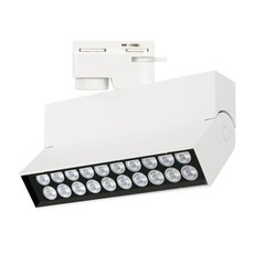Шинная система с металлическими плафонами белого цвета Arlight 036467 (LGD-LOFT-TRACK-2TR-S170-10W Warm3000)