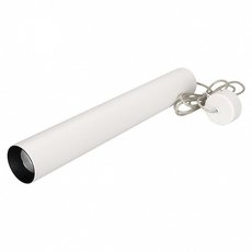 Светильник с арматурой белого цвета, металлическими плафонами Arlight 027369 (SP-POLO-HANG-LONG450-R65-8W White)