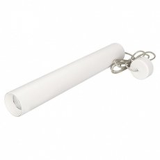 Светильник с арматурой белого цвета, металлическими плафонами Arlight 027370 (SP-POLO-HANG-LONG450-R65-8W White)