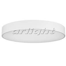 Светильник Arlight 022133 (SP-TOR-TB800SW-90W Day White)