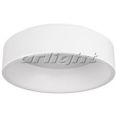 Светильник с арматурой белого цвета, пластиковыми плафонами Arlight 022134 (SP-TOR-TZ460SW-33W Day White)