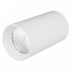 Точечный светильник с плафонами белого цвета Arlight 022937 (SP-POLO-R85-1-15W Day)