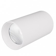 Точечный светильник с плафонами белого цвета Arlight 022938 (SP-POLO-R85-1-15W Warm)