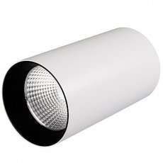 Точечный светильник с арматурой белого цвета, плафонами белого цвета Arlight 022939 (SP-POLO-R85-1-15W Day)