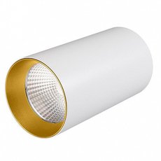 Точечный светильник с арматурой белого цвета, плафонами белого цвета Arlight 022941 (SP-POLO-R85-1-15W Day)