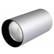 Точечный светильник с металлическими плафонами Arlight 022962 (SP-POLO-R85-1-15W Day)