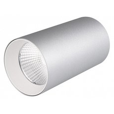 Точечный светильник с арматурой серебряного цвета, плафонами серебряного цвета Arlight 022964 (SP-POLO-R85-1-15W Day)