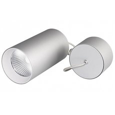 Светильник с арматурой серебряного цвета Arlight 022969 (SP-POLO-R85-2-15W Warm)