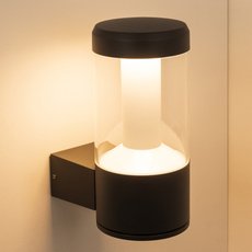 Светильник для уличного освещения с арматурой серого цвета, плафонами прозрачного цвета Arlight 029985 (LGD-STEM-WALL-10W Warm3000)