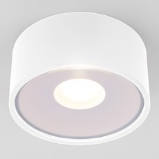 Светильник для уличного освещения Elektrostandard Light LED 2135 (35141/H) белый