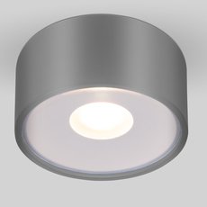 Светильник для уличного освещения Elektrostandard Light LED 2135 (35141/H) серый