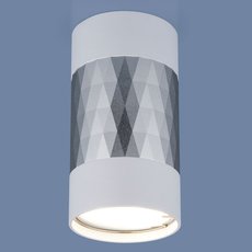 Точечный светильник с арматурой серебряного цвета, плафонами серебряного цвета Elektrostandard DLN110 GU10 белый/серебро