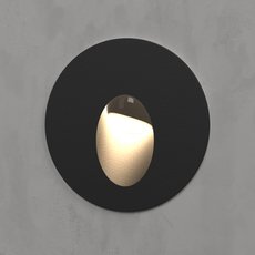 Светильник для уличного освещения с арматурой чёрного цвета Elektrostandard MRL LED 1101 Чёрный