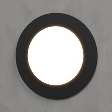 Светильник для уличного освещения с арматурой чёрного цвета, пластиковыми плафонами Elektrostandard MRL LED 1108 Чёрный