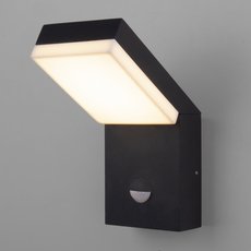 Светильник для уличного освещения с арматурой чёрного цвета Elektrostandard 1541 TECHNO LED с датчиком движения Чёрный