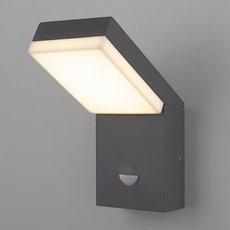 Светильник для уличного освещения с арматурой серого цвета, пластиковыми плафонами Elektrostandard 1541 TECHNO LED с датчиком движения Серый