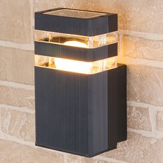 Светильник для уличного освещения с стеклянными плафонами прозрачного цвета Elektrostandard 1450 TECHNO черный