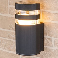 Светильник для уличного освещения с стеклянными плафонами Elektrostandard 1444 TECHNO черный