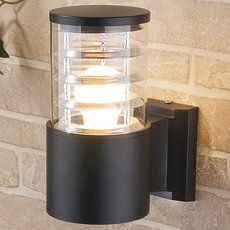 Светильник для уличного освещения с стеклянными плафонами прозрачного цвета Elektrostandard 1408 TECHNO черный