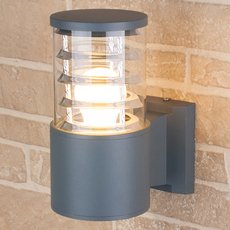 Светильник для уличного освещения с стеклянными плафонами Elektrostandard 1408 TECHNO серый