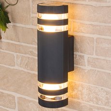 Светильник для уличного освещения с плафонами прозрачного цвета Elektrostandard 1443 TECHNO черный