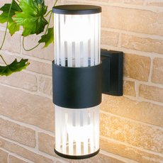 Светильник для уличного освещения с стеклянными плафонами Elektrostandard 1411 TECHNO чёрный