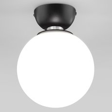 Светильник с арматурой чёрного цвета Eurosvet 30197/1 черный