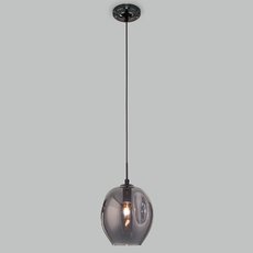 Светильник с стеклянными плафонами тонированного цвета Eurosvet 50195/1 черный жемчуг
