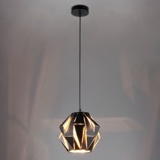 Светильник с металлическими плафонами Eurosvet 50137/1 черный
