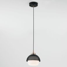 Светильник с арматурой чёрного цвета, плафонами белого цвета Eurosvet 50106/1 античная бронза/черный